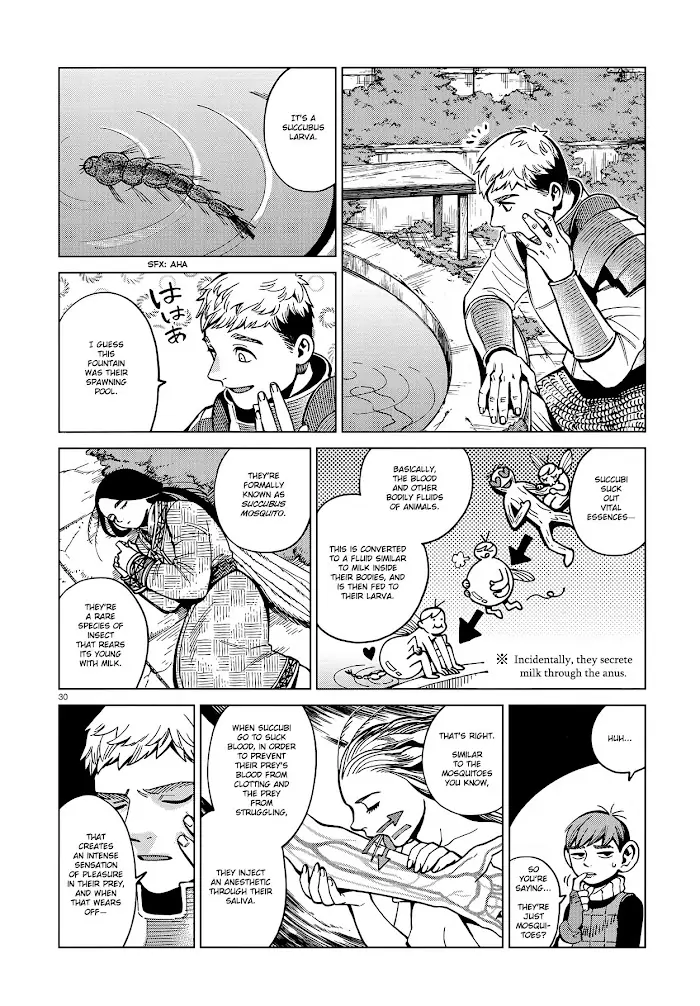 Delicious in Dungeon Chapter 59 image 30_optimized